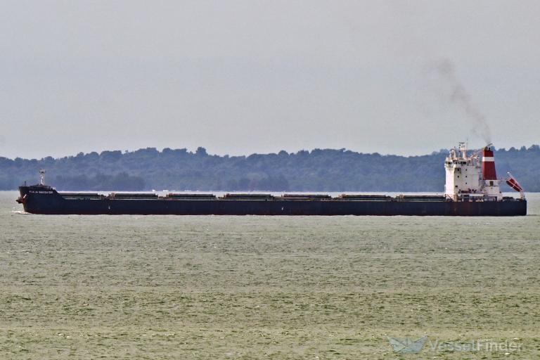 FIGALIA NAVIGATOR photo