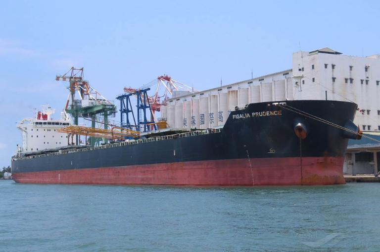 FIGALIA PRUDENCE photo