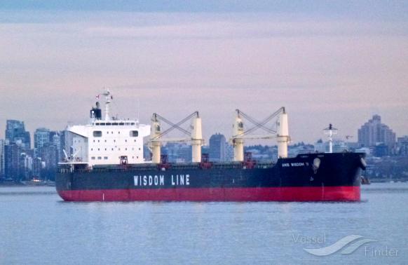 AMIS WISDOM VI photo