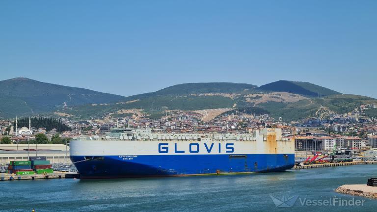 GLOVIS CHALLENGE photo
