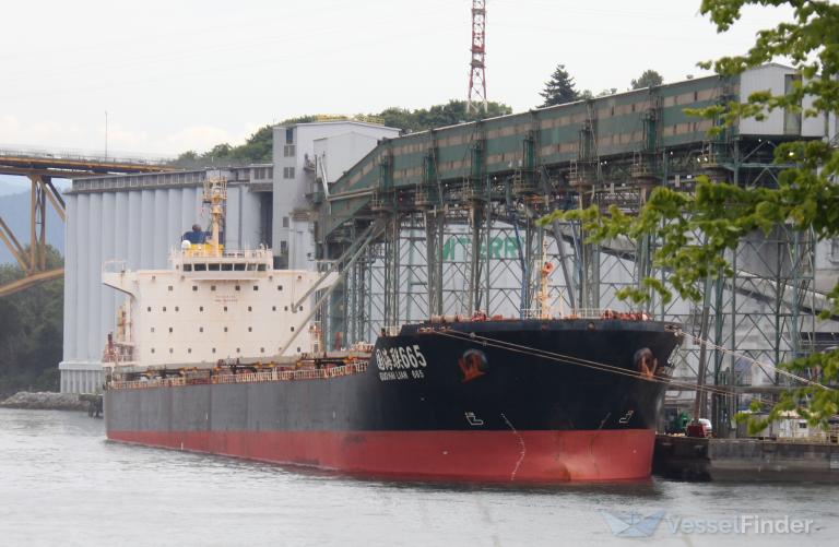 GUO HAI LIAN 665 photo