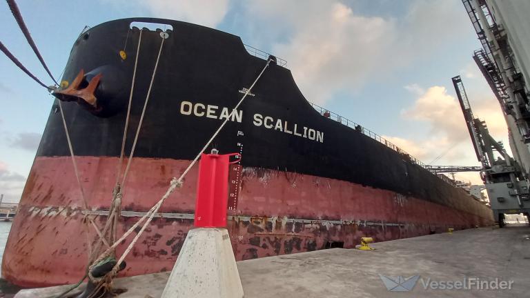 OCEAN SCALLION photo