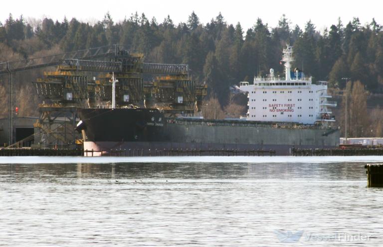 CEMTEX CREATION photo