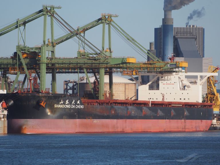 SHANDONG DA CHENG photo