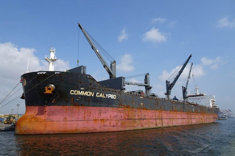 COMMON CALYPSO photo