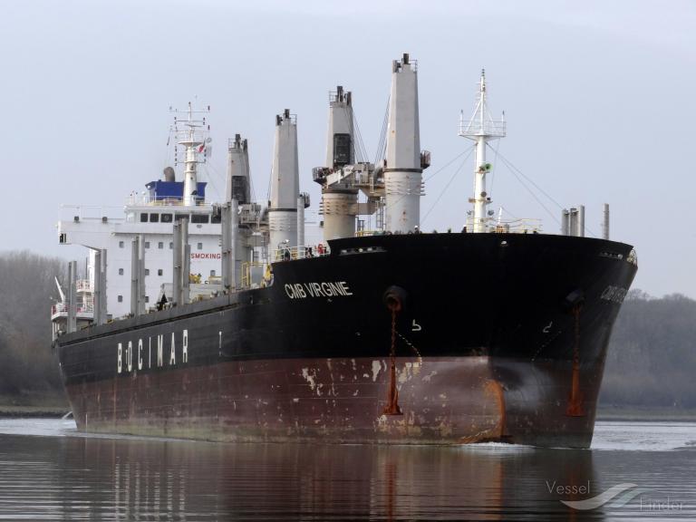 RACOON, Bulk Carrier - Details and current position - IMO 9597989 ...