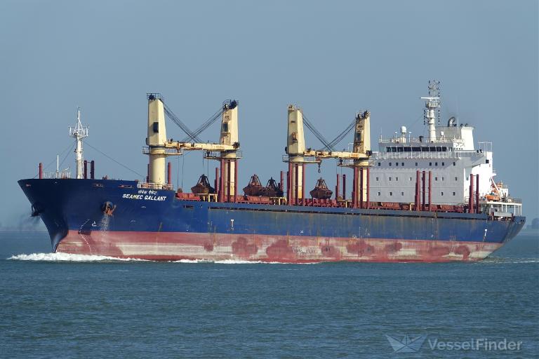 SEAMEC GALLANT photo