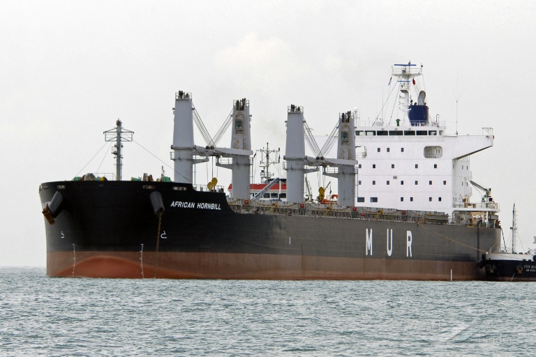 AFRICAN HORNBILL photo