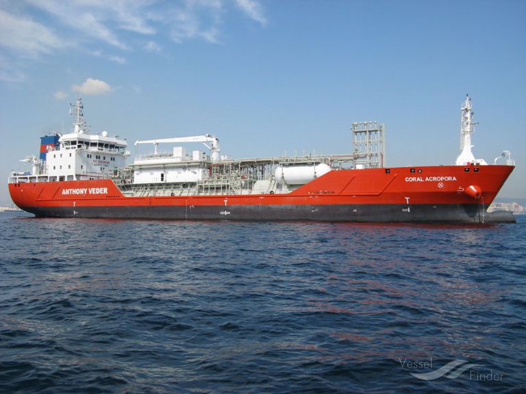 CORAL ACROPORA photo