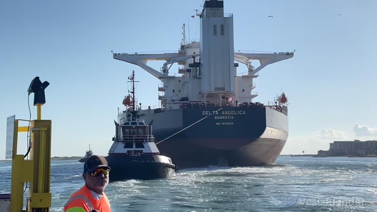 DELTA ANGELICA photo