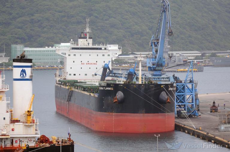 DENSA FLAMINGO photo