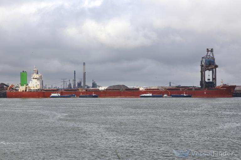 CLASSIC TSINGTAO photo