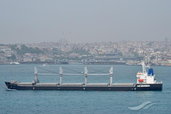 SHINSUNG ACCORD photo