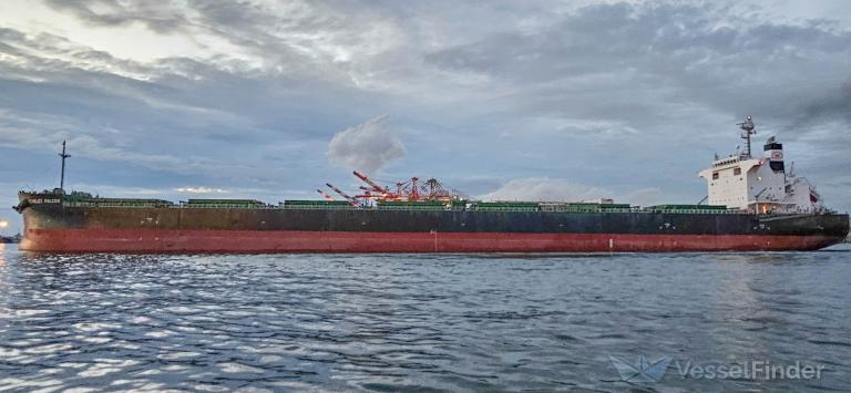 SCARLET FALCON photo