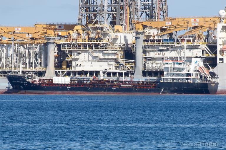 MARIA IMMACULATA photo