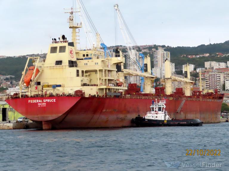 FEDERAL SPRUCE photo