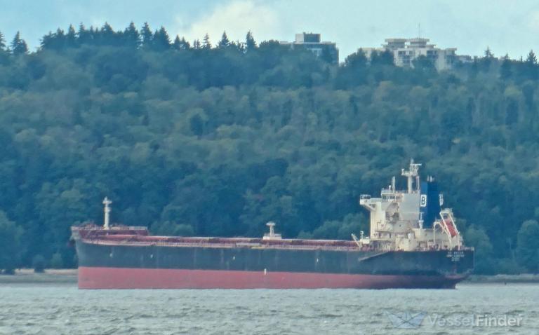 DAEBO GLADSTONE photo