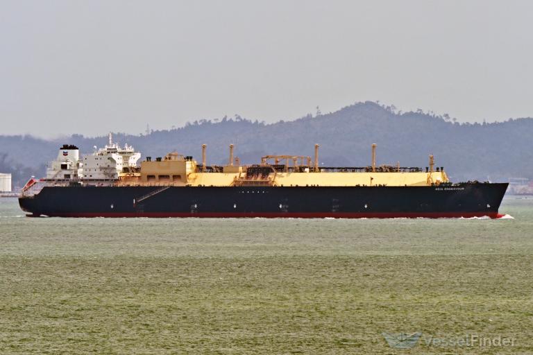 ASIA ENDEAVOUR photo