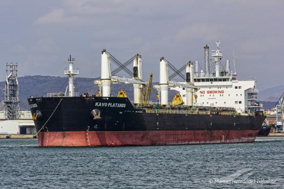 DE XIN XING LONG photo