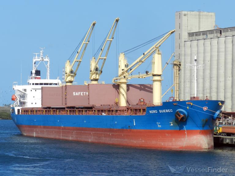 SAFEEN AL NASR photo