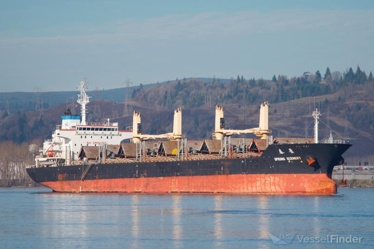 DELOS, Bulk Carrier Details and current position IMO 9612375