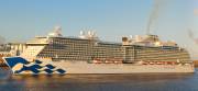 MAJESTIC-PRINCESS