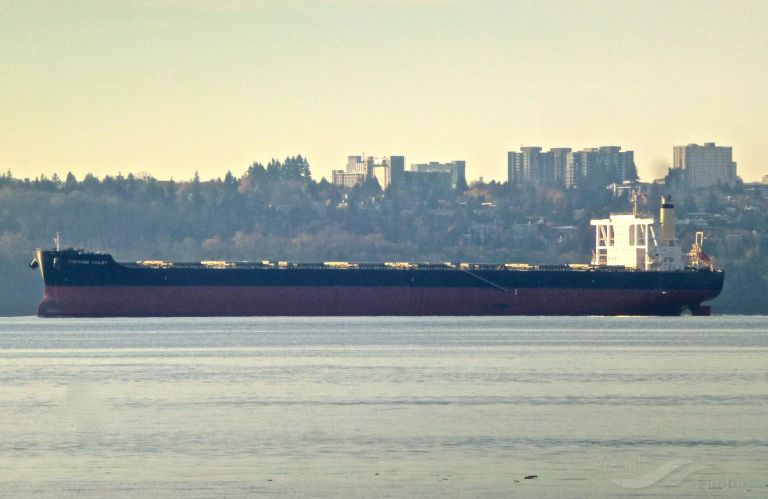 FORTUNE VIOLET photo