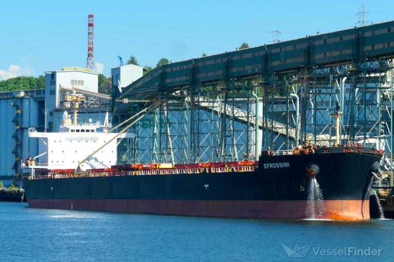 arethousa-bulk-carrier-details-and-current-position-imo-9618020