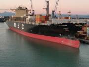 MSC-ALTAMIRA