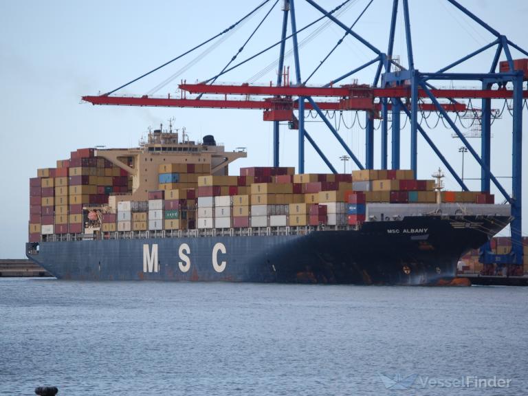 MSC ALBANY photo