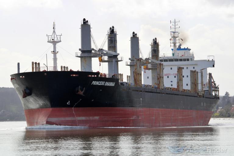 PRINCESS SHAIMAA photo