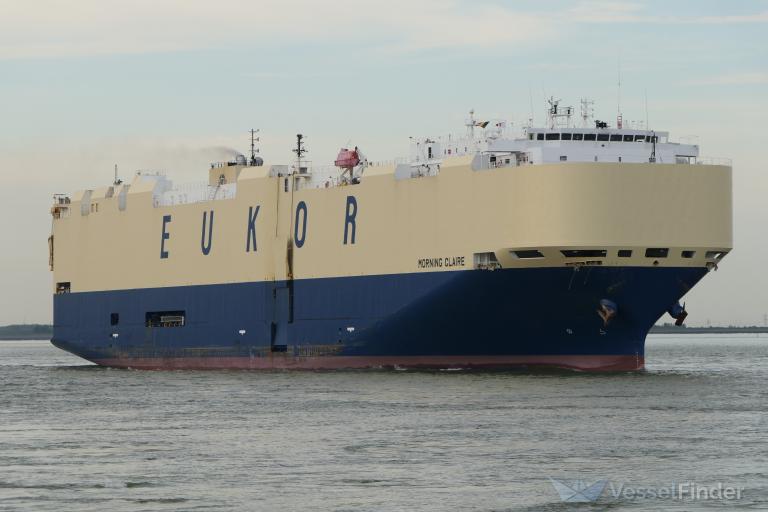 MORNING CLAIRE photo