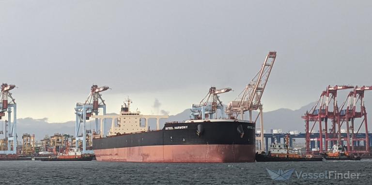 BSTEEL HARMONY photo