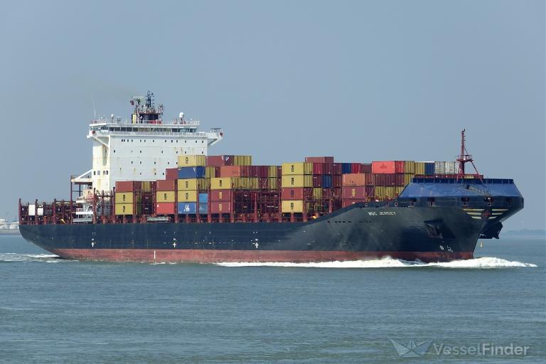 MSC JERSEY