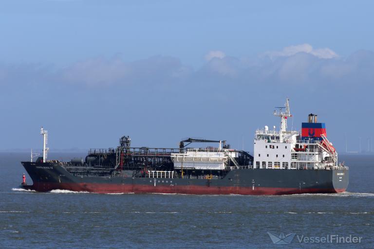 DONATA SCHULTE photo