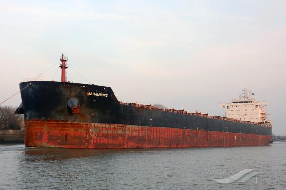 EASTERN ZINNIA photo