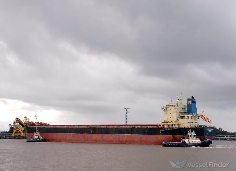 NICOSIA PEGASUS photo