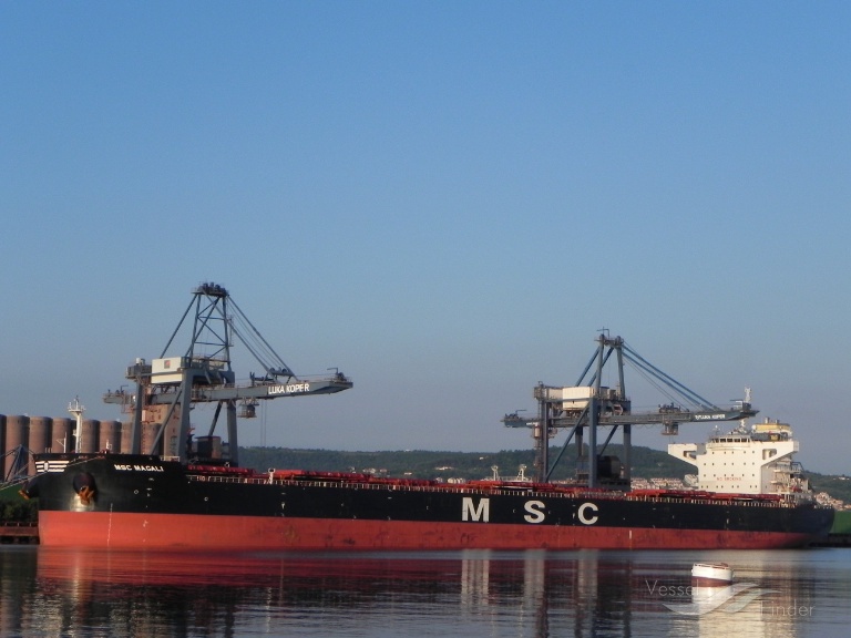 MSC MAGALI photo
