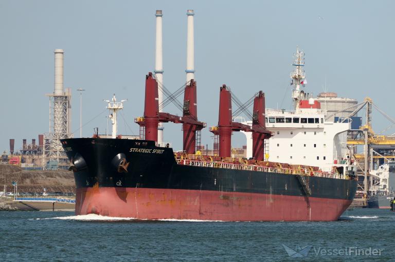 STRATEGIC SPIRIT photo