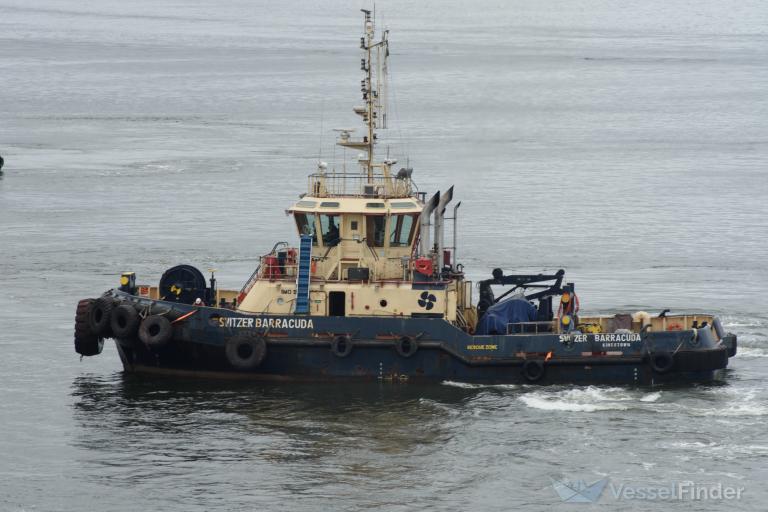 SVITZER BARRACUDA photo