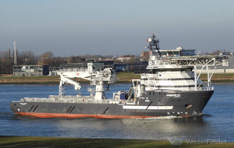 OLYMPIC TAURUS