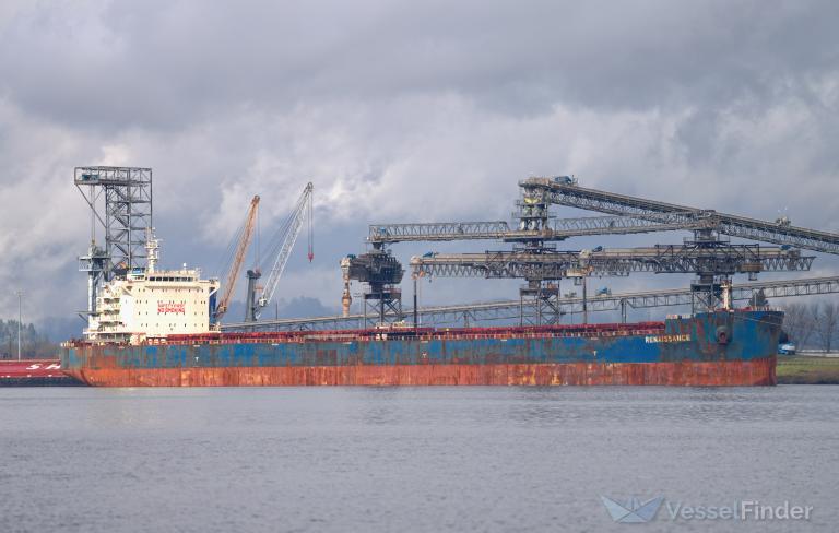 AMNSI STALLION photo