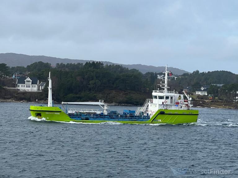 HALTBAKK VIKING photo