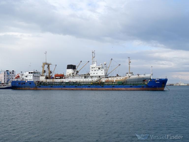 BLUE VEGA photo