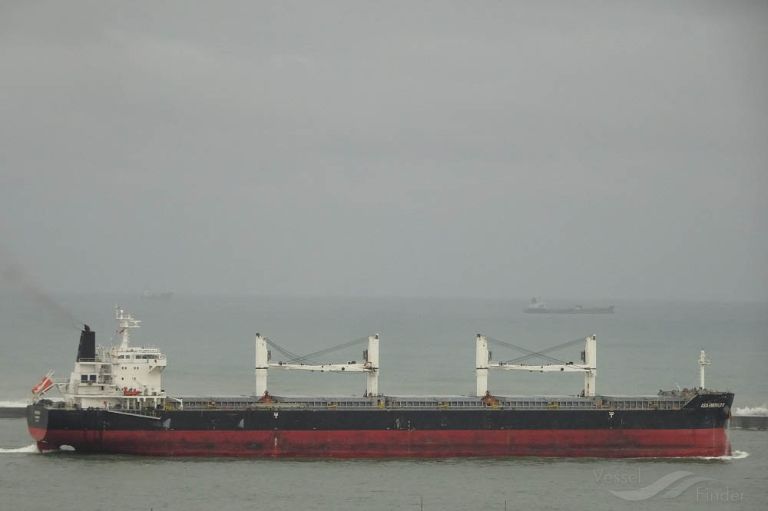 XIN YANG CAI FU photo