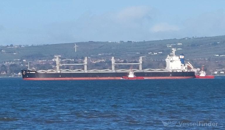 STAR CHALLENGER photo