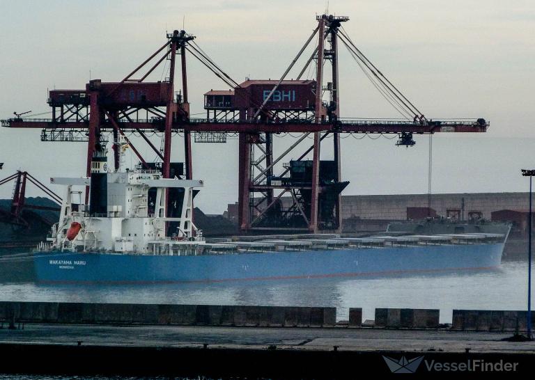 maruページ ライン クルーネックセーター [全2色] – muta Online Store