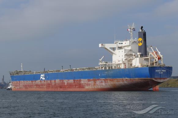 QIAN NIU STAR photo