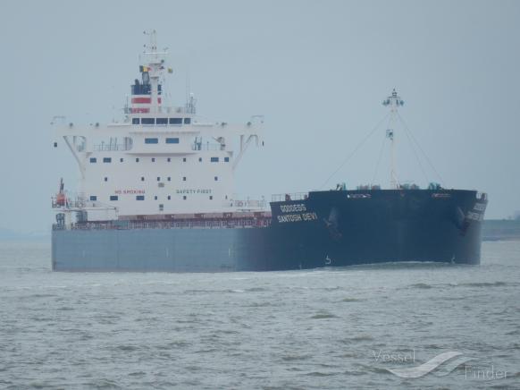STAR CALYPSO photo