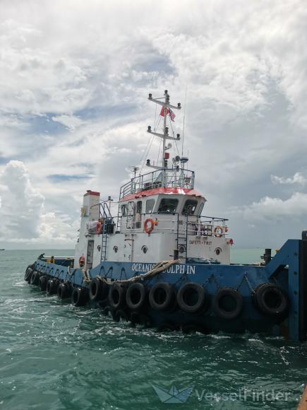 OCEANIC DOLPHIN photo